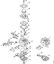 FC 85 FC 85 Carburador C1Q-S157, C1Q-S69 (41.2017) (45.2009) de la marca Stihl