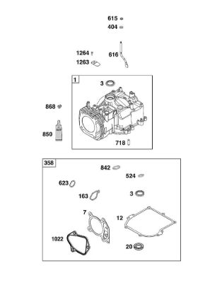 B&S - 09â  09P602-0124-H1 G - CONJUNTO DE CILINDROS de la marca Stihl