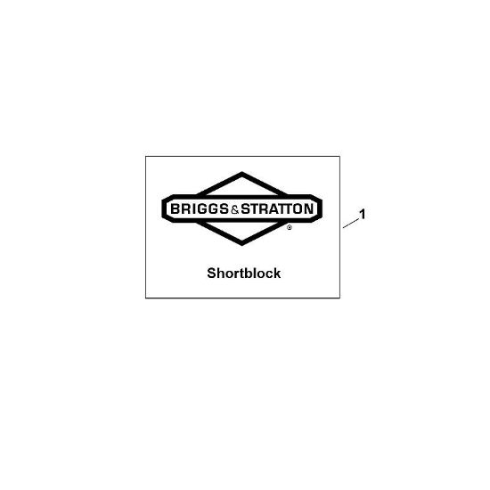 B&S - 12â  126T02-0198-B1 I - Motor aligerado (Shortblock) de la marca Stihl