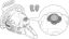 Motosierras de gasolina (MS) MS 231 Smart Connector de la marca Stihl