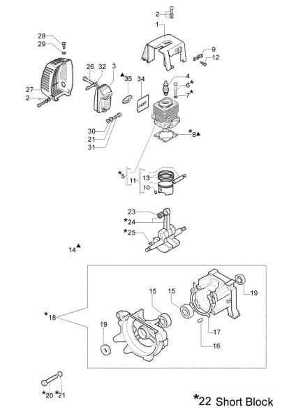 Motor 446 BP Desbrozadora