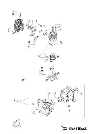 Motor 8465 Desbrozadora