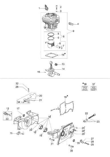 Motor y cárter motor MT 7200 Motosierra