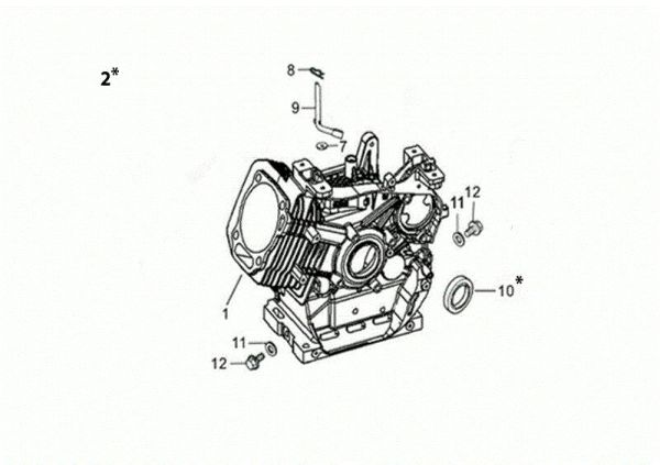 Carter motor NTS 65 (K1100 H) Desbrozadoras de ruedas