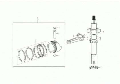 Ciguenal y piston NTR 340 K (K655 HF) Minitransportador