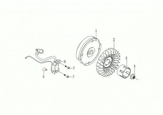 Volante y bobina digital MOTORE K1100 H (EURO5) Motor