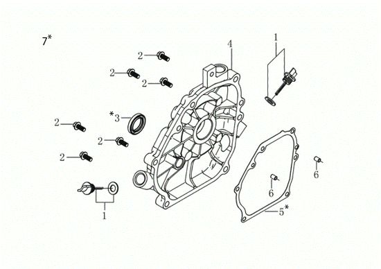 Tapa basamento MOTORE K900 HR (EURO5) Motor