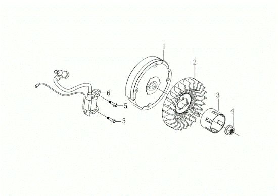 Volante y bobina digital MOTORE K900 HR (EURO5) Motor
