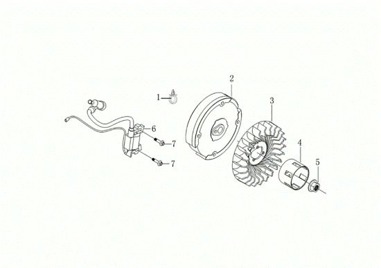 Volante y bobina digital MOTORE K800 H (EURO 5) Motor K800H(EURO 5)