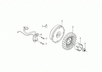Volante y bobina digital MOTORE K800 H (EURO 5) Motor K800H(EURO 5)
