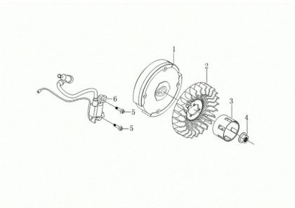 Volante y bobina digital MOTORE K900 H Motor
